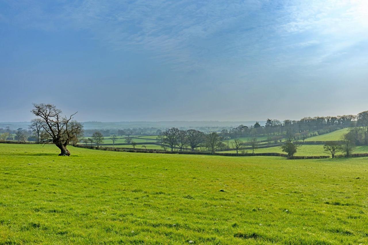 Finest Retreats - Fives Court Cottage North Cheriton 외부 사진